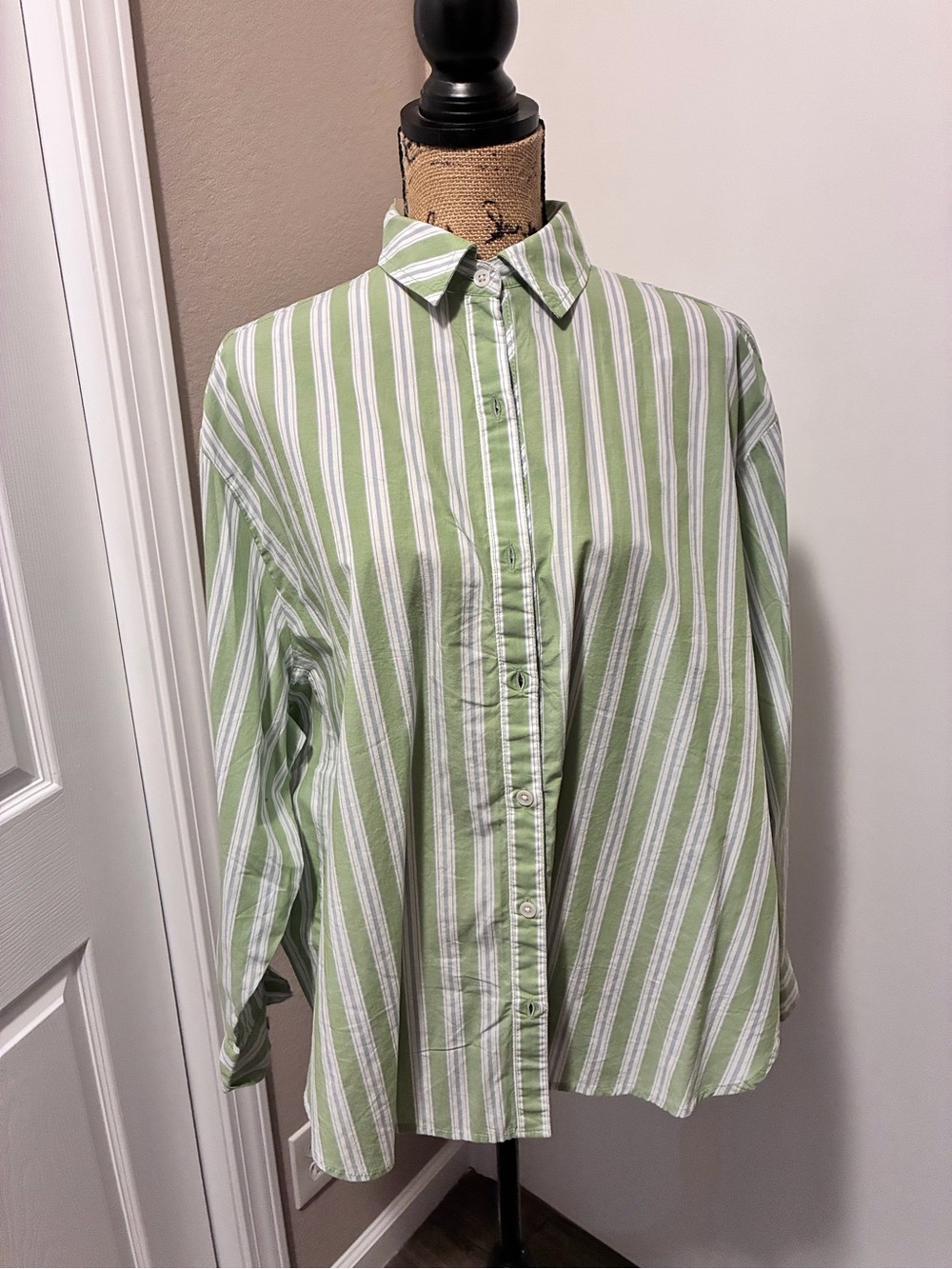 aerie Green and White Vertical Stripe Button-Down Shirt